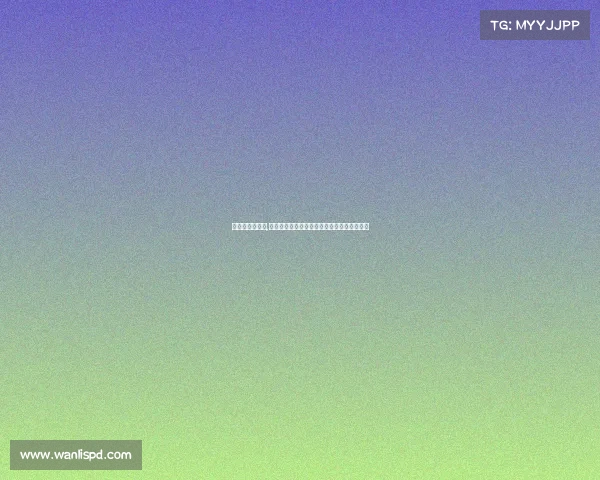 深圳格斗运动馆,深圳格斗盛典汇聚全球精英激情擂台荣耀之战