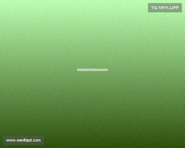 网球青年赛事青春梦想竞技舞台未来之星启航